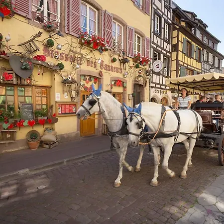 Tanneurs My Alsace *